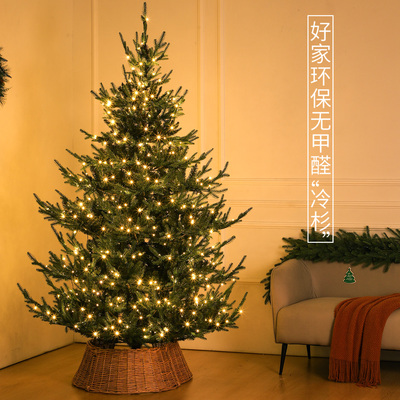 IGOOD纯PE家用环保圣诞树