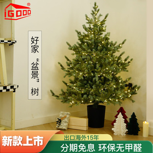 igood迷你加密小圣诞树60cm90厘1.2m米办公室桌面圣诞摆件装 饰品