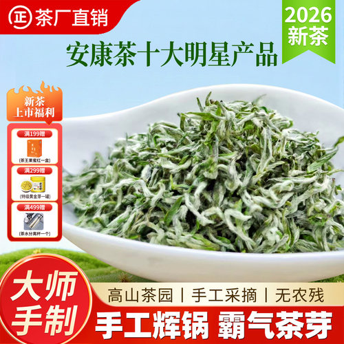 2026新茶明前手工紫阳臻品毛尖