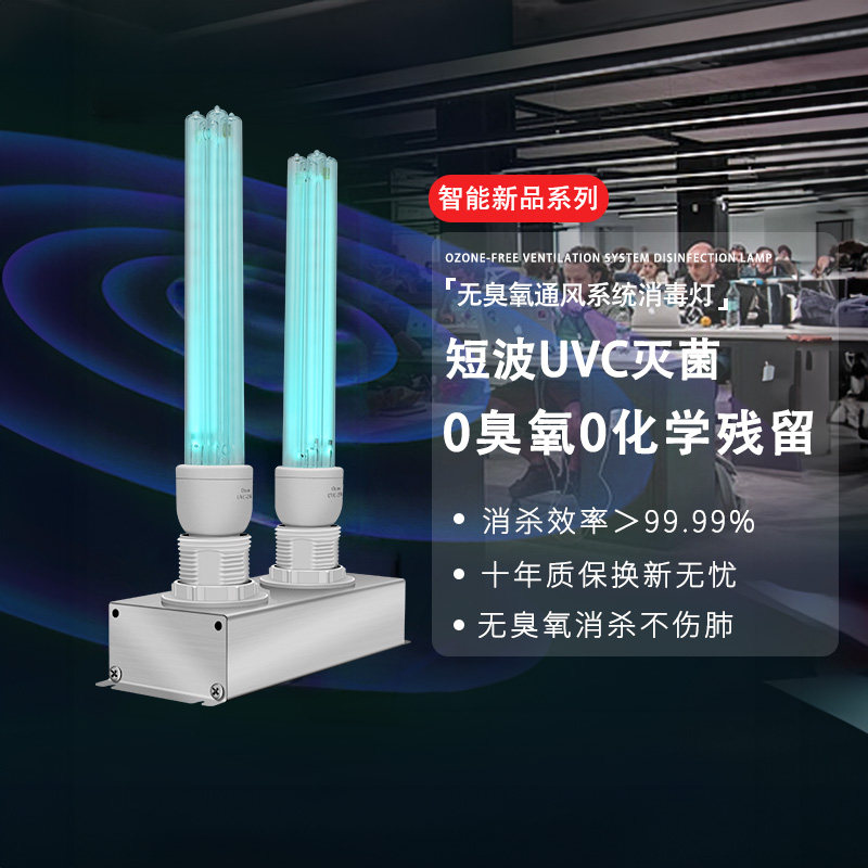 小而美房间空气消毒杀菌除螨紫外线灯医用家用室内无臭氧灭菌灯器