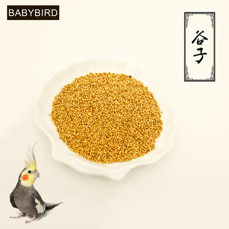 babybird黄谷子带壳小米