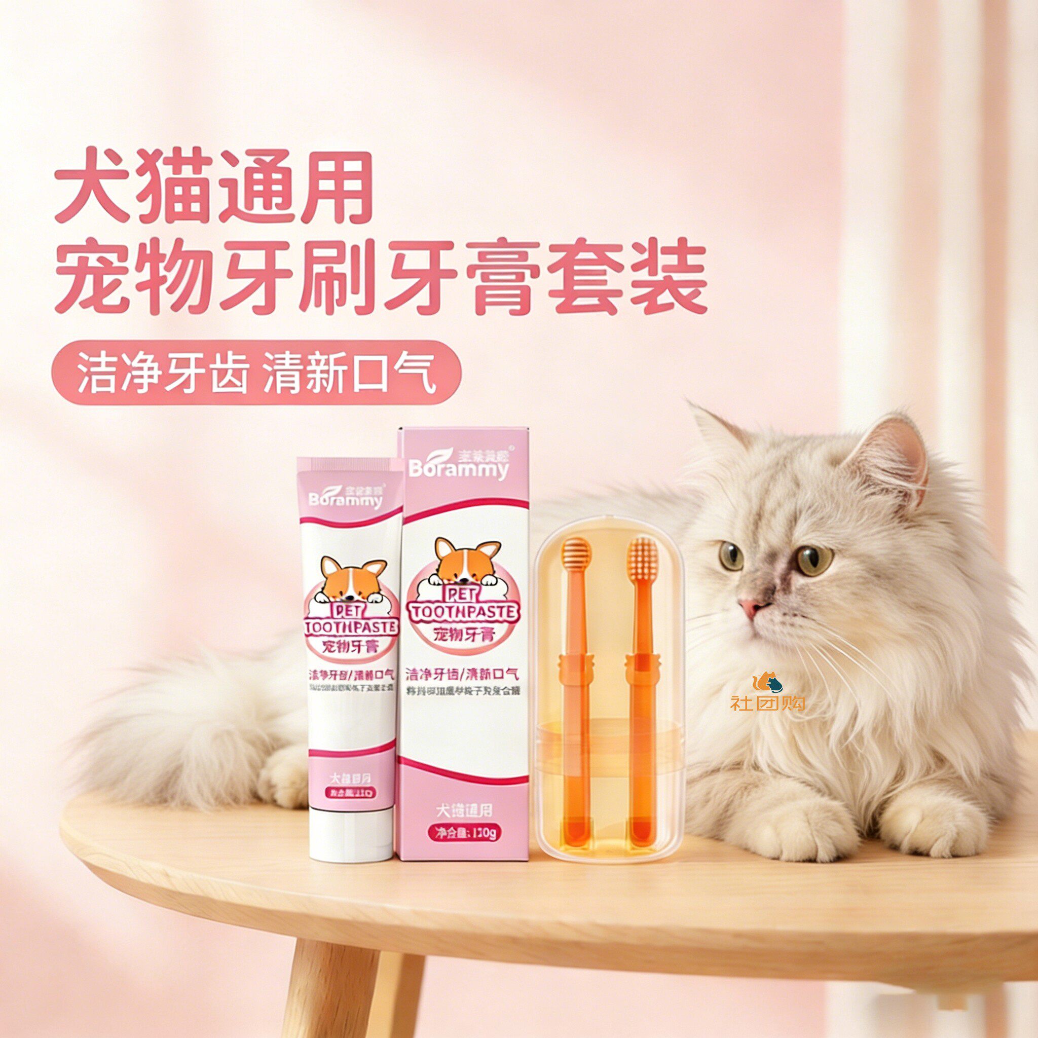 加菲猫咪专用牙刷牙膏宠物刷牙神器可食用口腔工具指套清洁洁牙