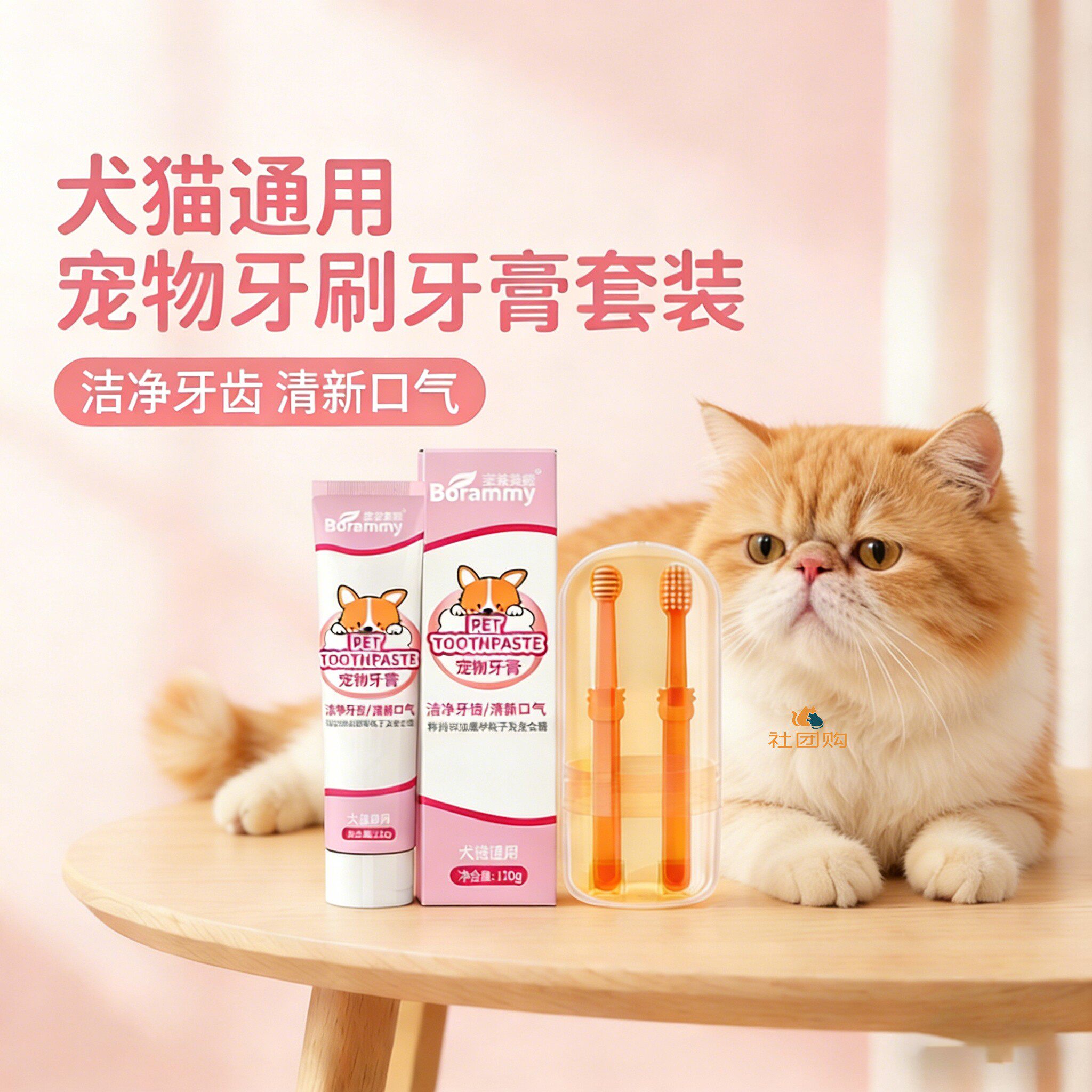 波斯猫咪专用牙刷牙膏宠物刷牙神器洁牙指套可食用口腔工具清洁