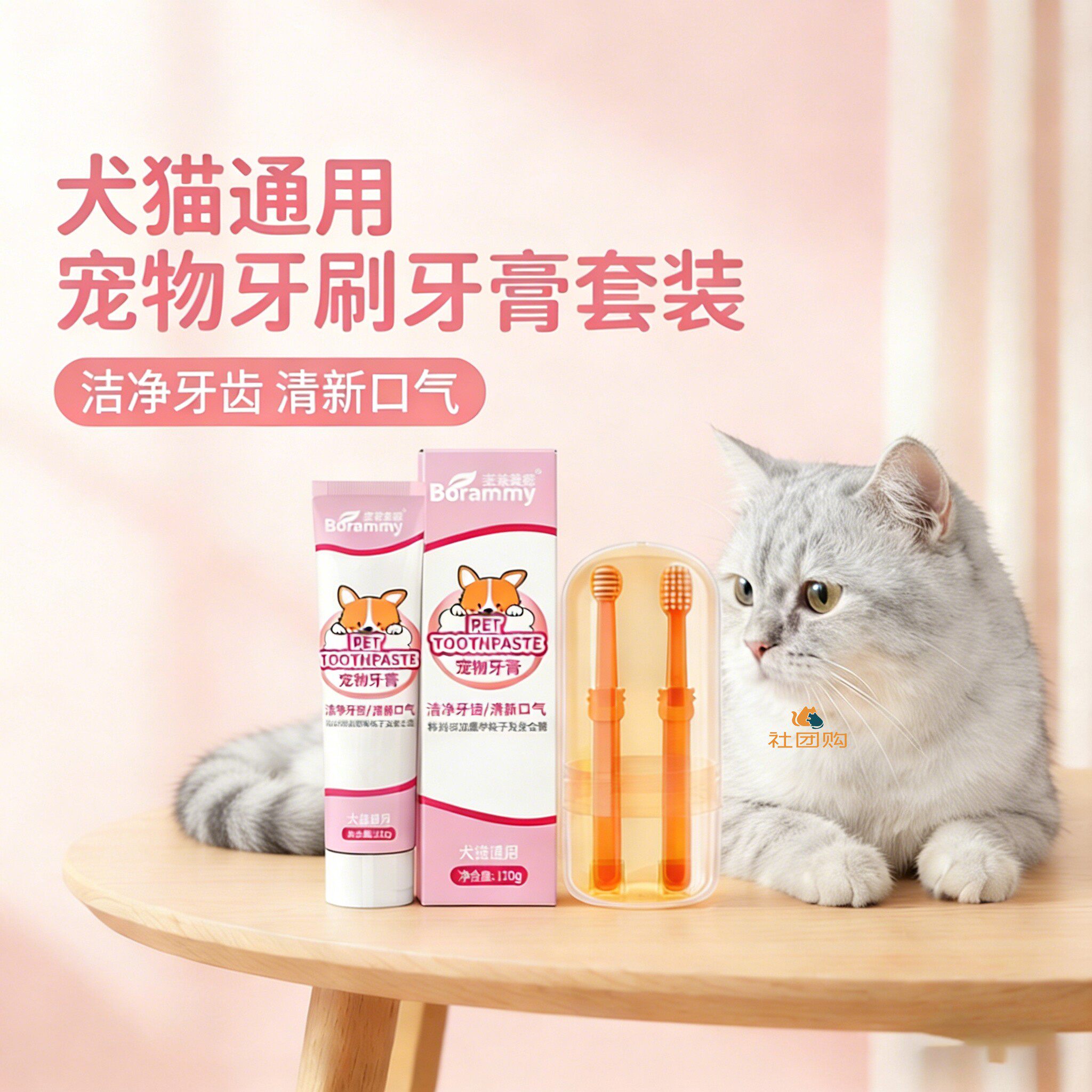 银渐层猫咪专用牙刷牙膏宠物刷牙神器指套工具清洁可食用口腔洁牙