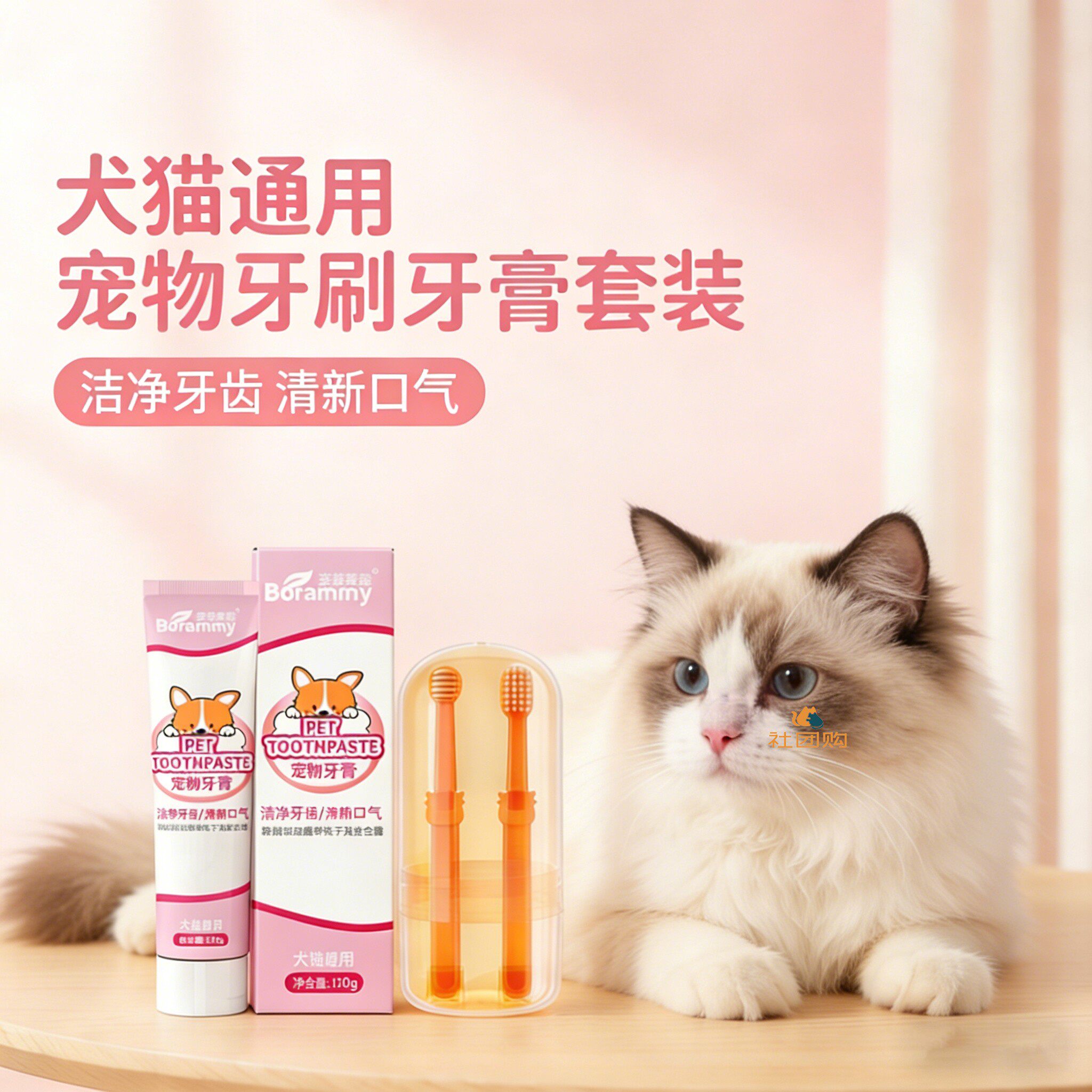 布偶猫咪专用牙刷牙膏宠物刷牙神器口腔指套可食用洁牙清洁工具
