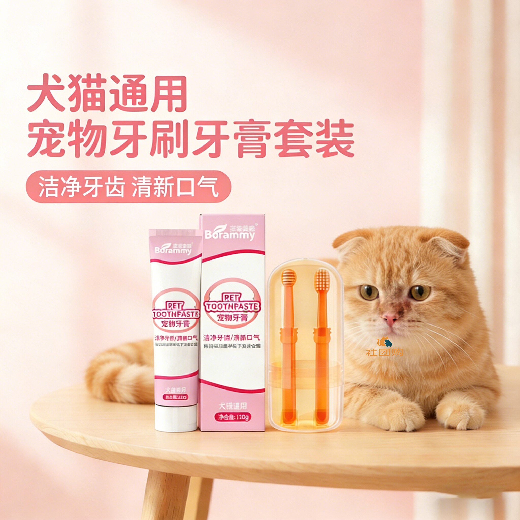 折耳猫咪专用牙刷牙膏宠物刷牙神器工具口腔指套可食用洁牙清洁