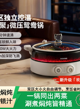 德国knx火锅欢聚鸳鸯锅一体式电火锅电锅家用多功能电煮锅电热锅