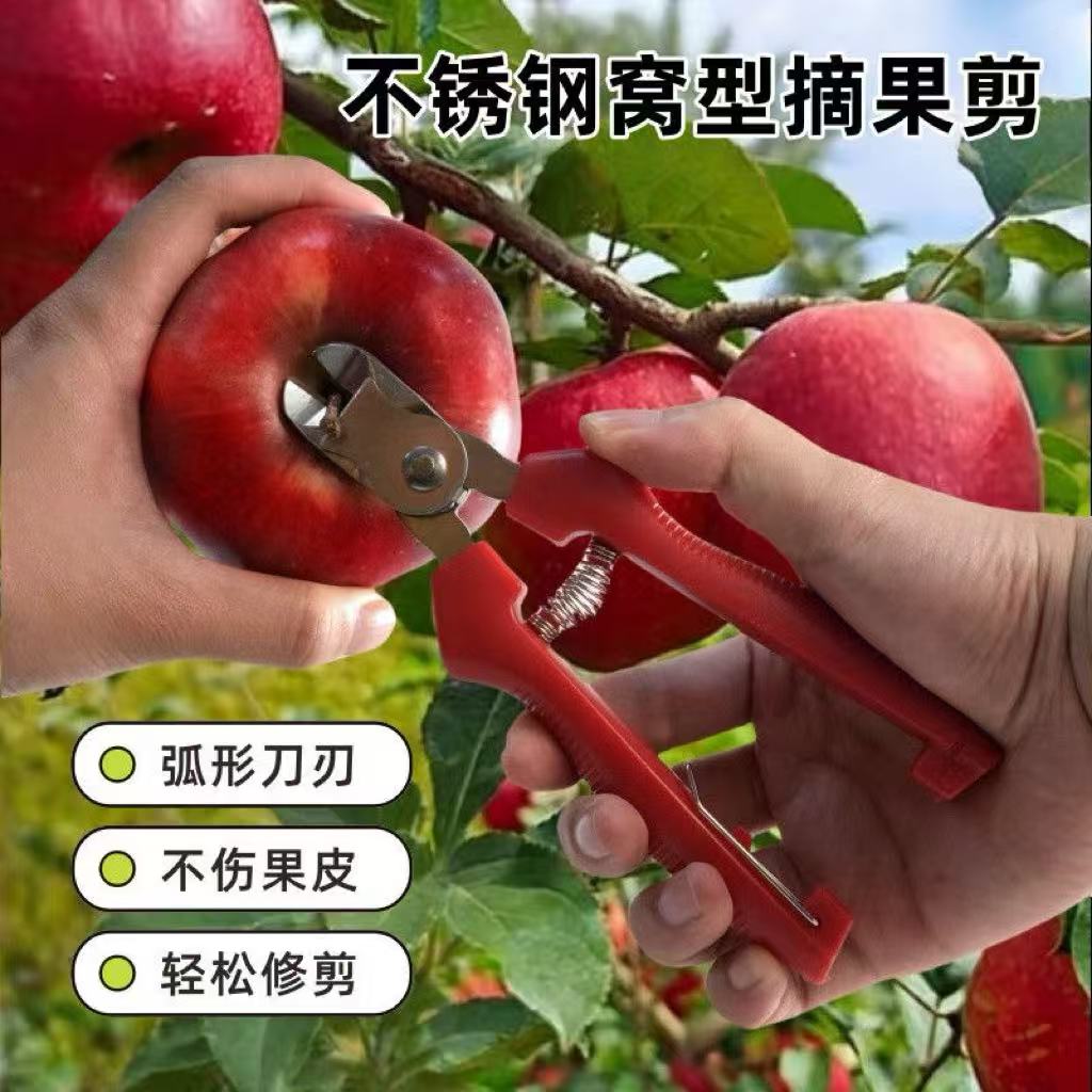 不锈钢窝子剪苹果柑橘采摘家用