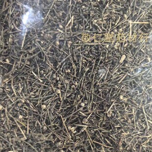 白花蛇舌草安国j中药材正品散装新货总管半枝莲 白花蛇草草药