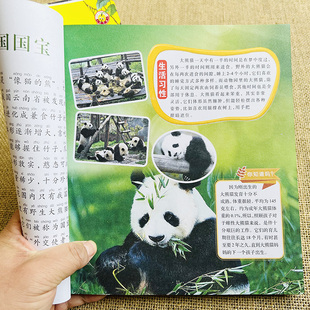 动物世界百科全书幼儿动物绘本宝宝早教认知动物大全大图婴儿认识动物图片小学生儿童动物世界猫科爬行动物3-6岁益智动物图书绘本