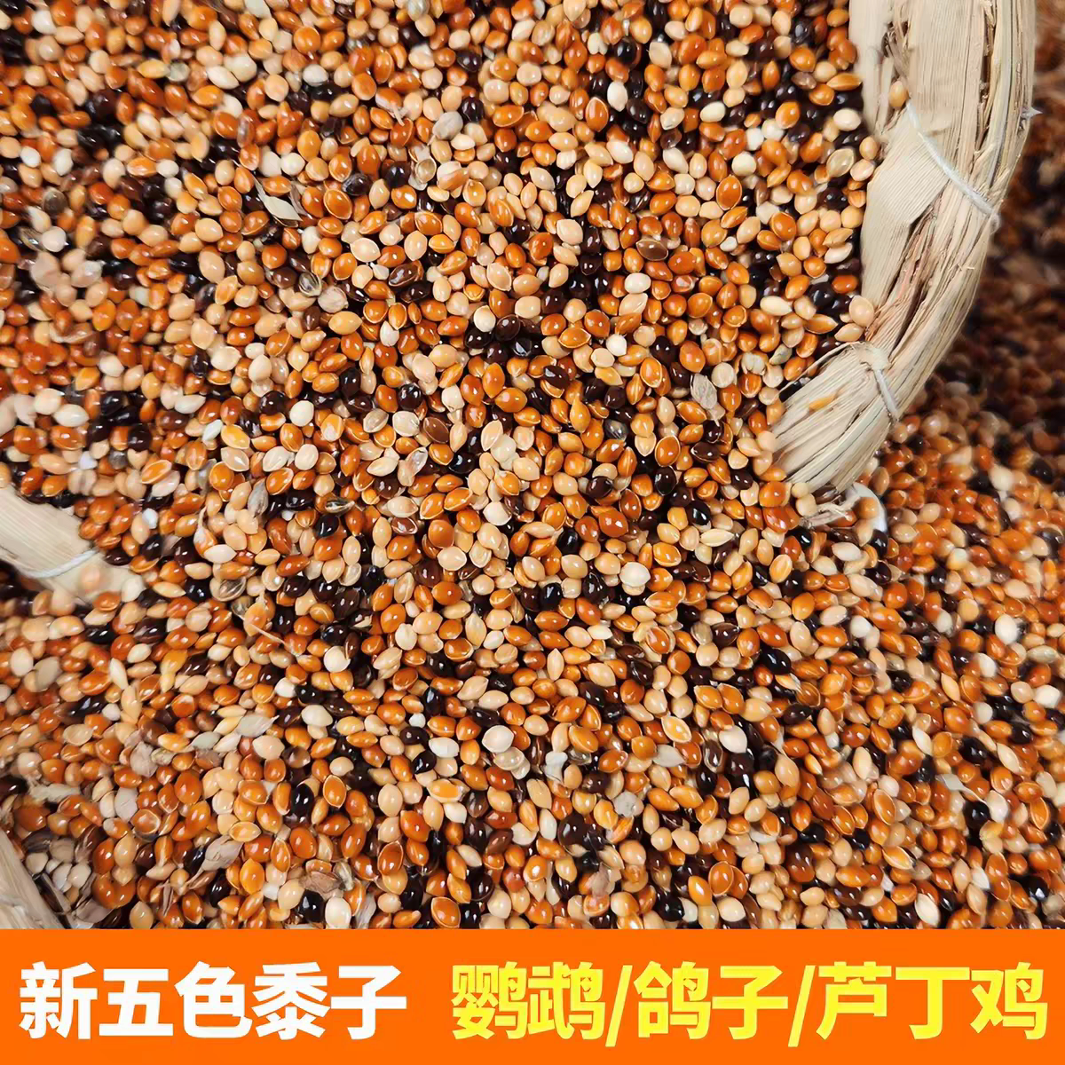 新粮五色混合黍子虎皮牡丹玄凤鹦鹉鸟食糜谷子文鸟饲料鹦鹉鸟粮