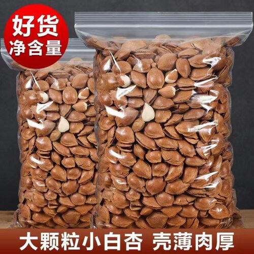 小白杏新货开口杏核休闲零食炒货原味坚果散装手剥薄壳