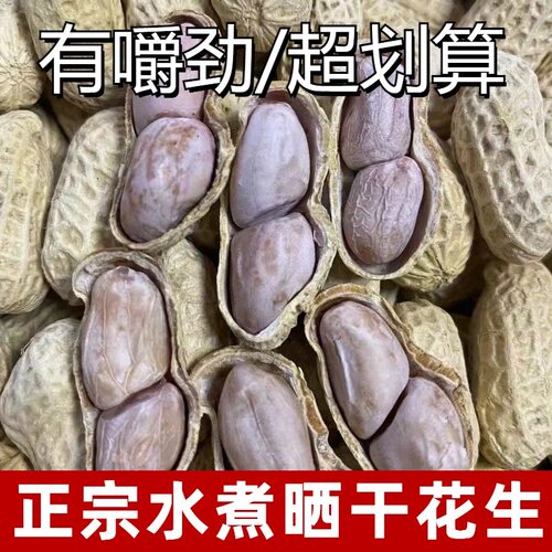 龙岩花生水煮花生白晒湿烤米熟蒜香咸干五香盐水带壳炒货零食