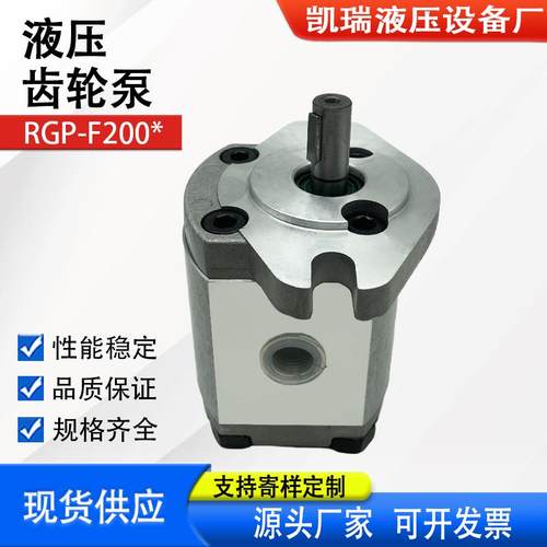 新款齿轮泵RGP-F201R RGP-F202R 液压油泵RGP-F203R RGP-F208包邮