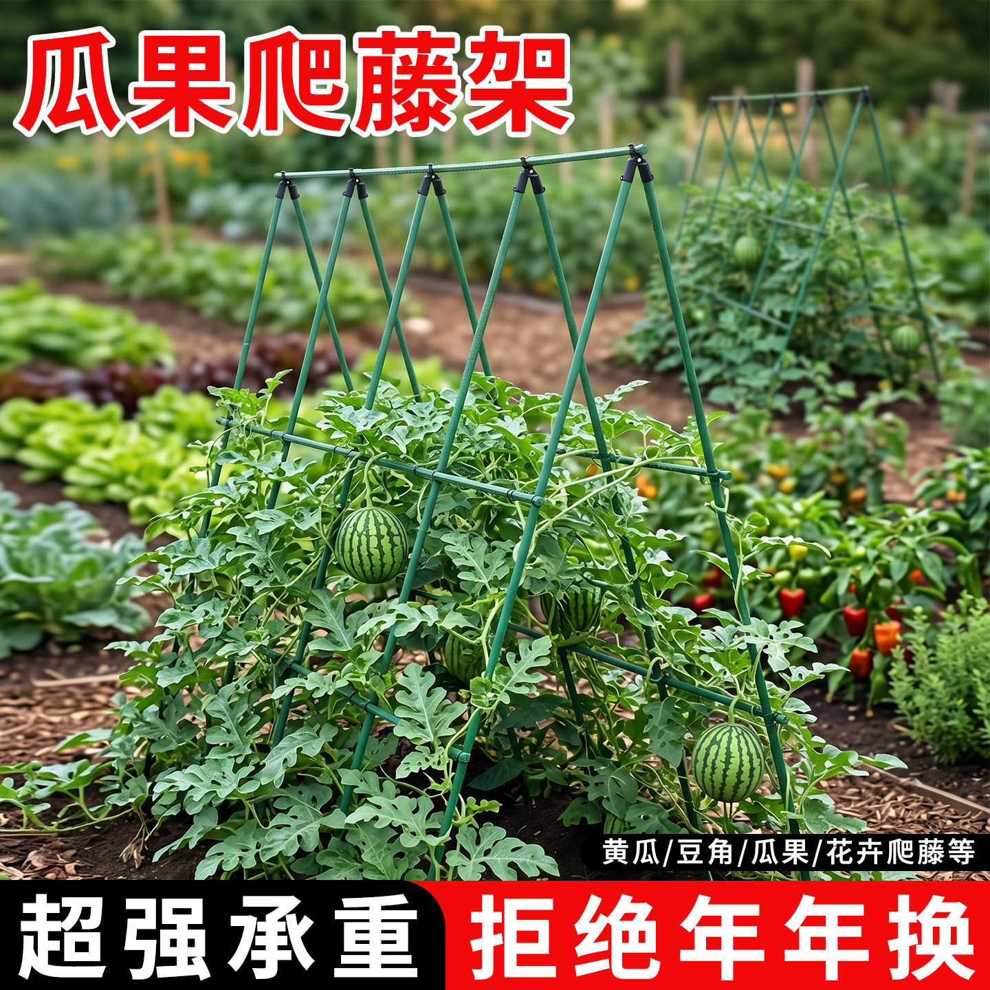 西瓜爬藤架家用种菜架子豆角黄瓜支撑杆芸豆番茄杆菜园植物爬架子图片