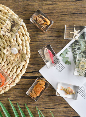 小动物滴胶树脂标本仿真高清