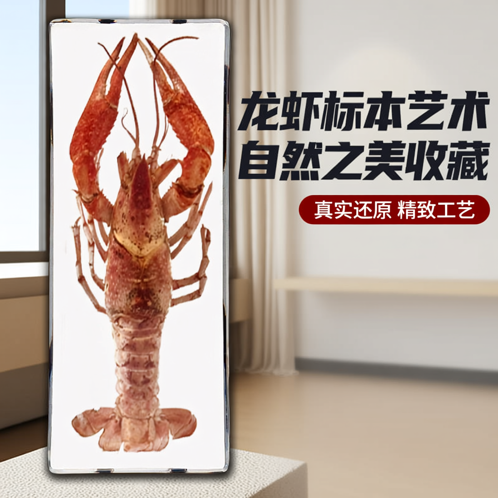 真实标本龙虾琥珀罕见科研自然科普亚克力可爱认知海洋儿童成品新
