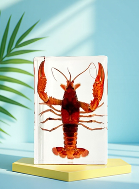 集市亚克力热卖蜈蚣创意蝎子真实