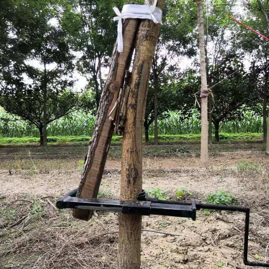 树木直弯器苗木直树器国槐调直器园林工具树木拉直机纠正固定神器