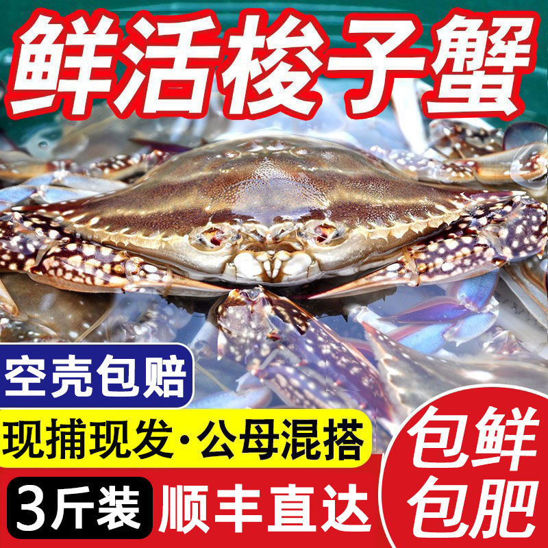 【鲜活发货】【公母随机】【顺丰包邮】