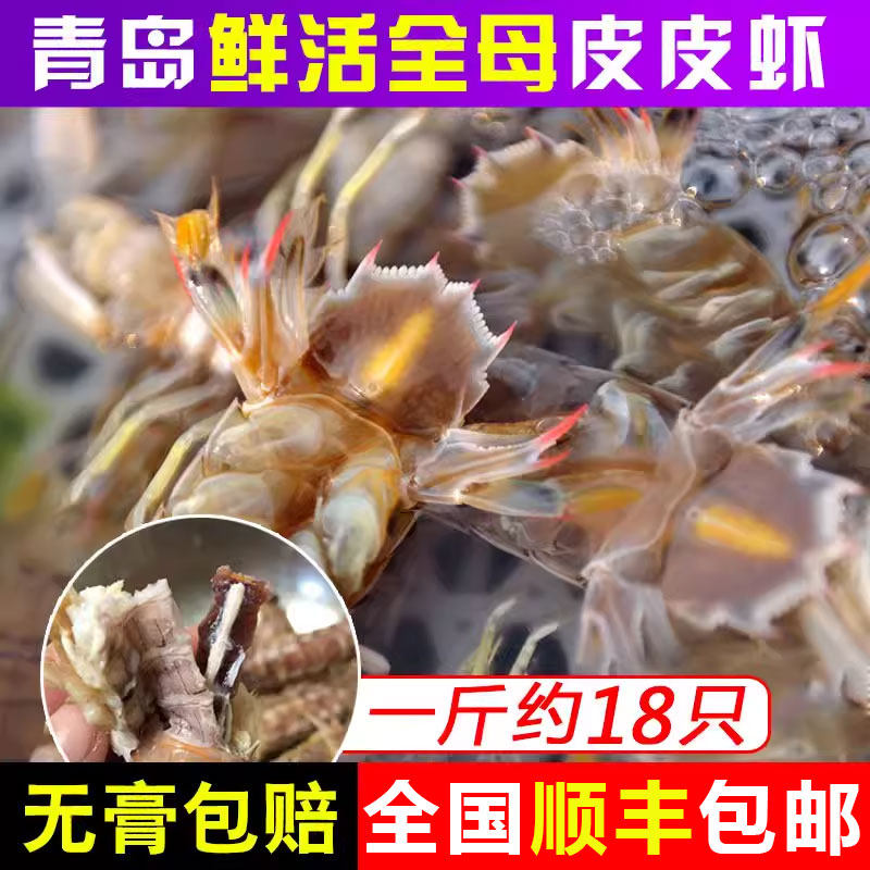 【只只带膏】鲜活全母皮皮虾超大特大琵琶虾虾姑濑尿虾虎虾爬子