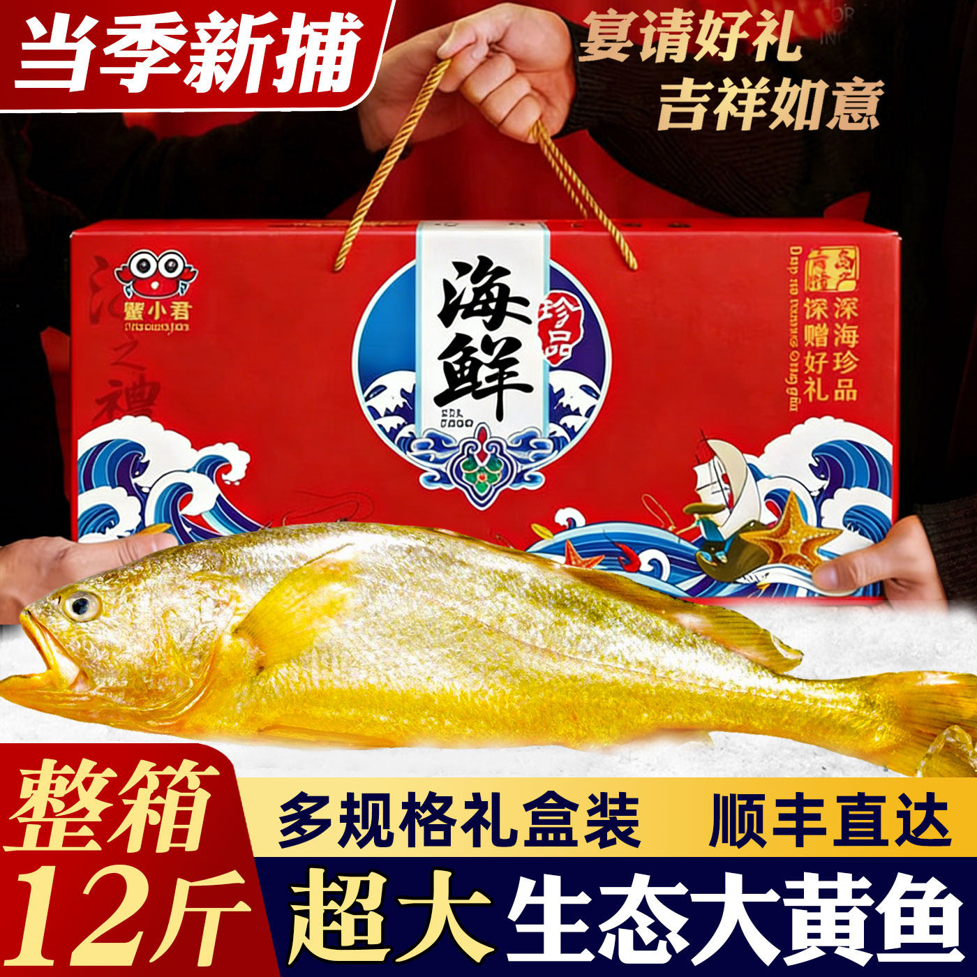 大黄鱼礼盒舟山深海大黄鱼新鲜特大水产海鱼黄鱼特产海鲜礼包礼盒
