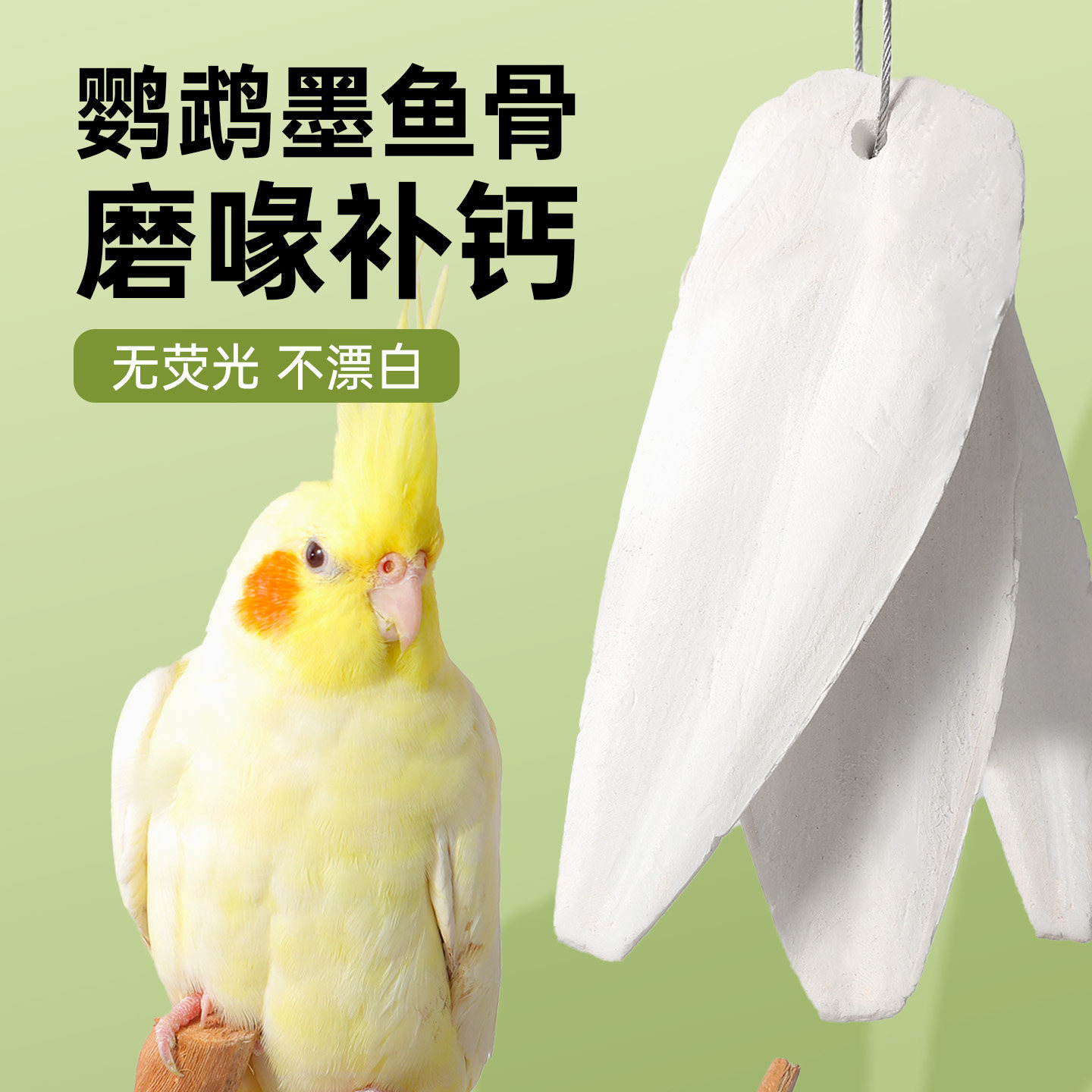 鹦鹉墨鱼骨大块补钙磨嘴啃咬玩具图片