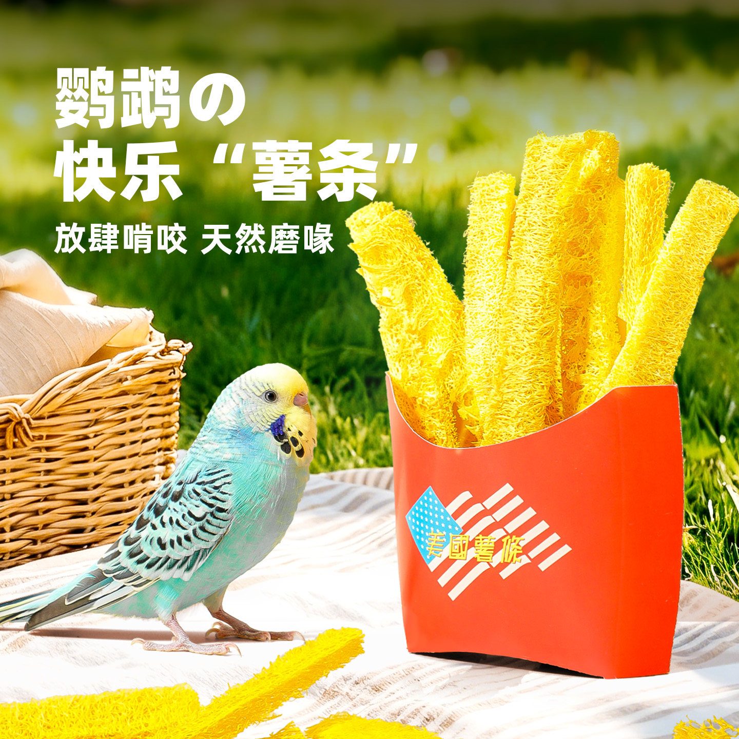 鹦鹉啃咬解闷自嗨玩具丝瓜络虎皮玄凤小太阳新型磨牙磨嘴训练道具,宠物/宠物食品及用品,鸟玩具,淘宝优惠券,粉丝福利购,淘宝优惠卷