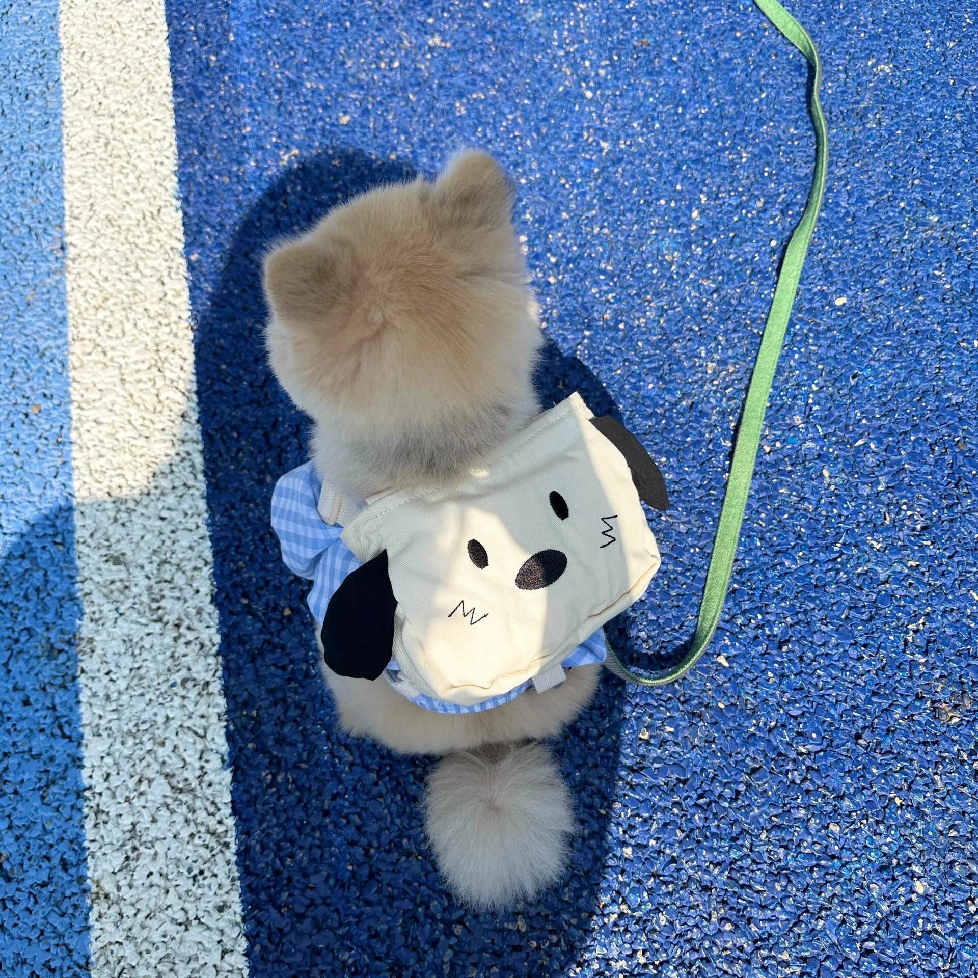 宠物狗狗自背包柯基便携外出小书宠物背包