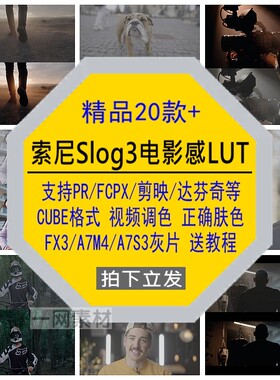 索尼Slog3商业电影感LUT视频调色FX3/A7M4/A7S3灰片素材正确肤色