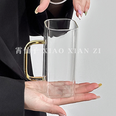 玻璃杯女高颜值耐热水杯轻奢防爆杯子夏季高硼硅果汁杯家用泡茶杯