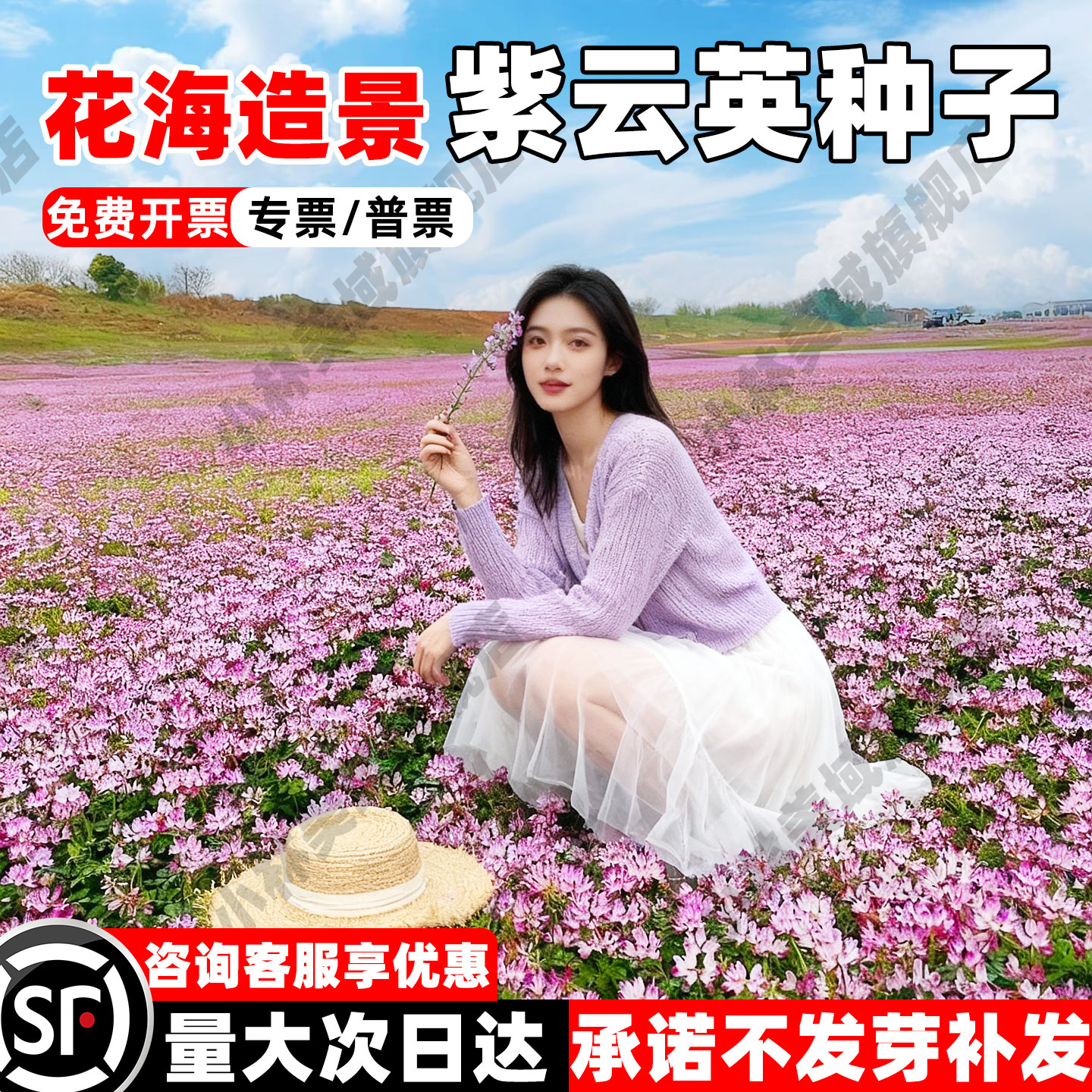 紫云英种子红花草子四季牧草