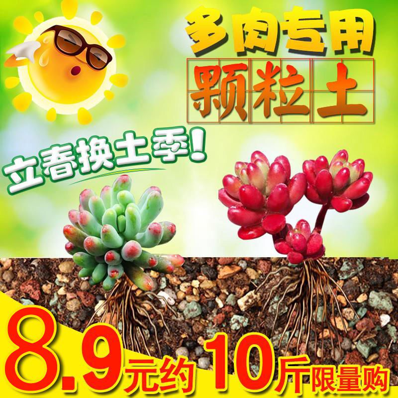 多肉植物营养土泥炭土多肉土叶插换盆土多肉专用土颗粒土铺面 尚天企业店 淘优券