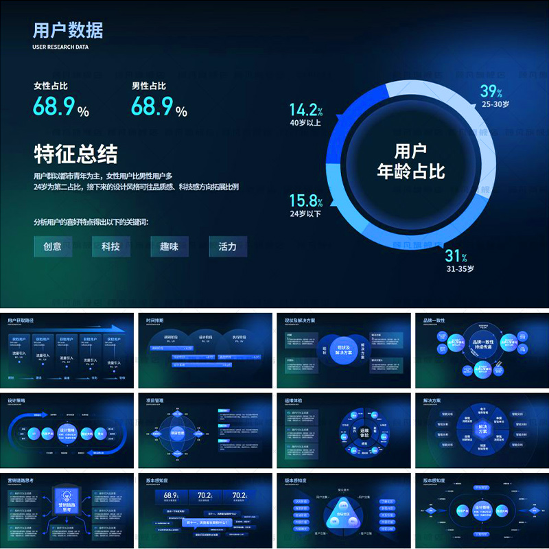 数据可视化图表PPTPPT模板