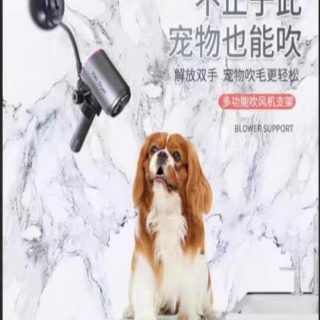 宠物吹风机固定支架子狗狗猫咪吹毛洗澡懒人神器美容台吸盘免打孔