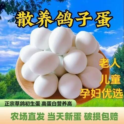 正宗新鲜鸽子蛋草鸽初生蛋农家五谷杂粮散养土鸽蛋儿童孕妇鸽子蛋