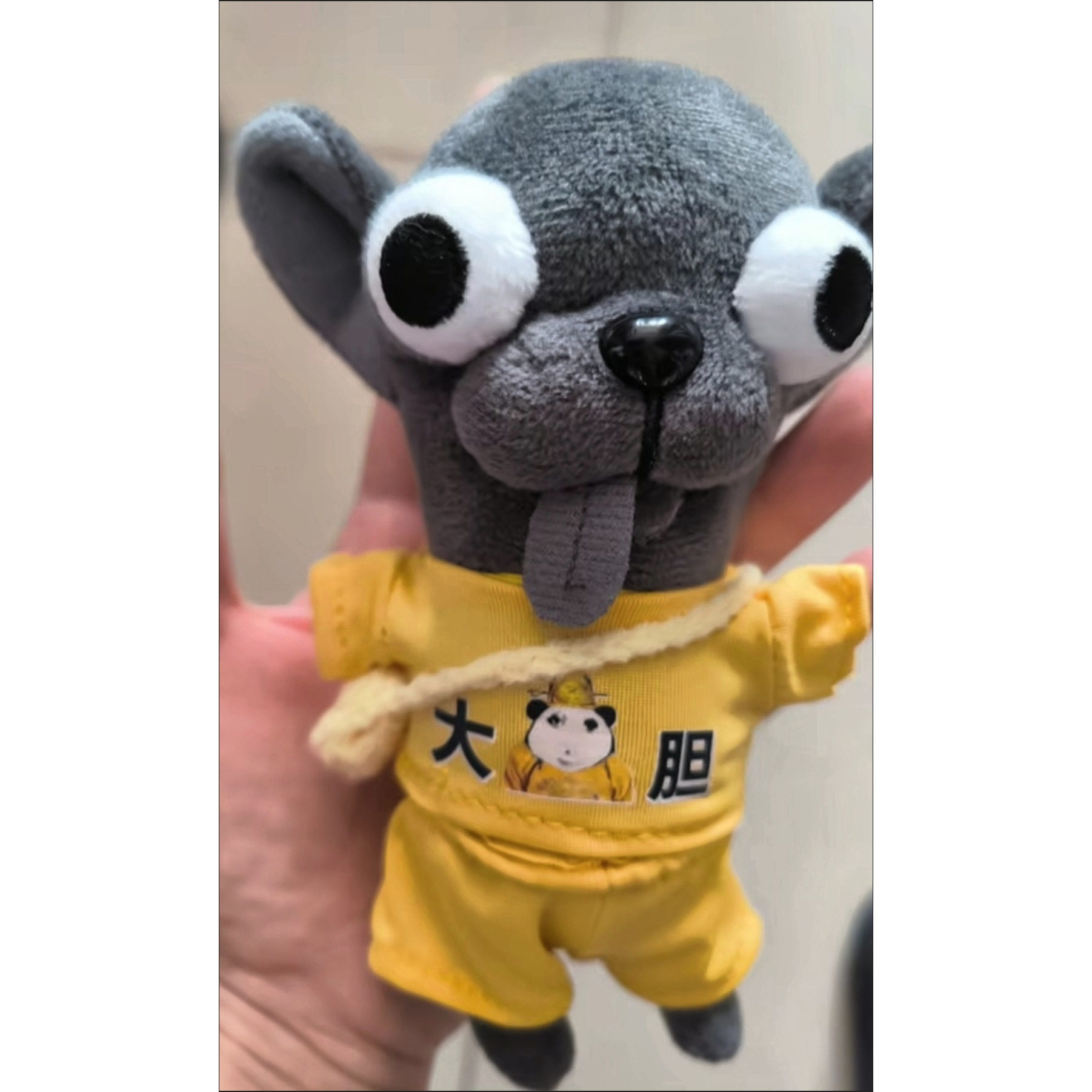 #Chihuahua#吉娃娃毛绒玩具公仔生日礼物女生节日礼物公仔挂件
