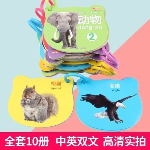 全套10本小手撕不破幼儿看图识物早教书婴儿撕不烂益智早教识字卡