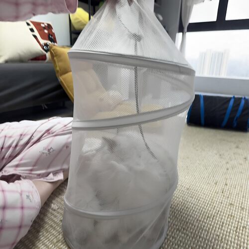 【猫咪烘干机】家用箱可
