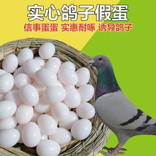 假鸽子蛋当真鸽子假蛋假鸽蛋信鸽用品实注水塑料信鸽假蛋赛鸽具
