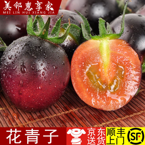 新鲜低糖黑色小番茄墨明珠小柿子