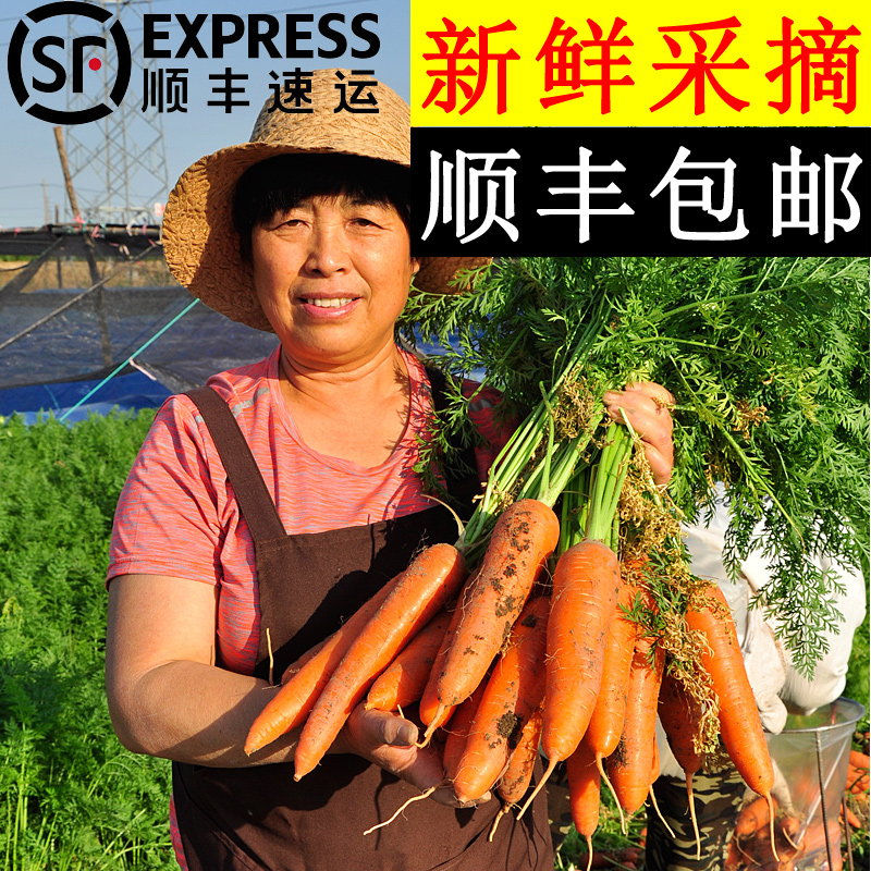 新鲜胡萝卜带泥发货富含胡萝卜素