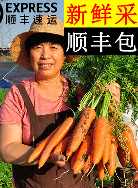 美邻惠享家胡萝卜新鲜即食榨汁胡萝卜生吃脆甜顺丰包邮SX006SF