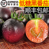 包邮 顺丰 美邻惠享家山东新鲜黑番茄小黑柿子小番茄厚皮低糖水果