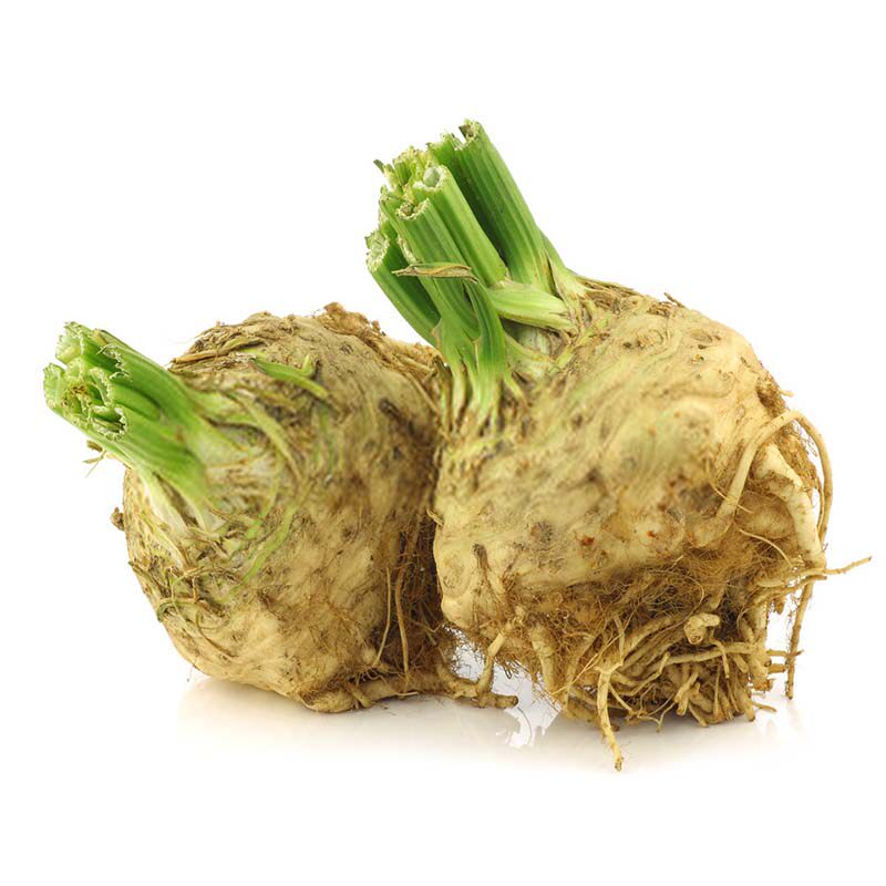 美邻惠享家根芹球地中海根芹芹菜根根芹求种植根芹食用根芹