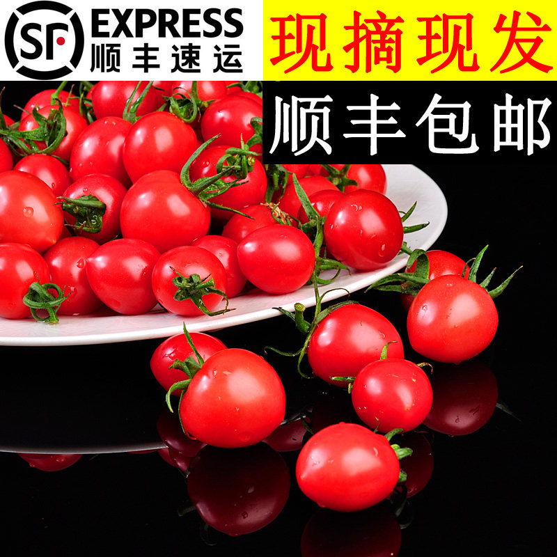 美邻惠享家小番茄千禧果圣女果小柿子新鲜一口爆汁顺丰包邮,水产肉类/新鲜蔬果/熟食,番茄,淘宝优惠券,粉丝福利购,淘宝优惠卷