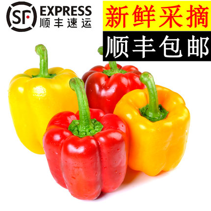 美邻惠享家红黄五彩椒新鲜柿子椒圆椒太空椒顺丰包邮SX049