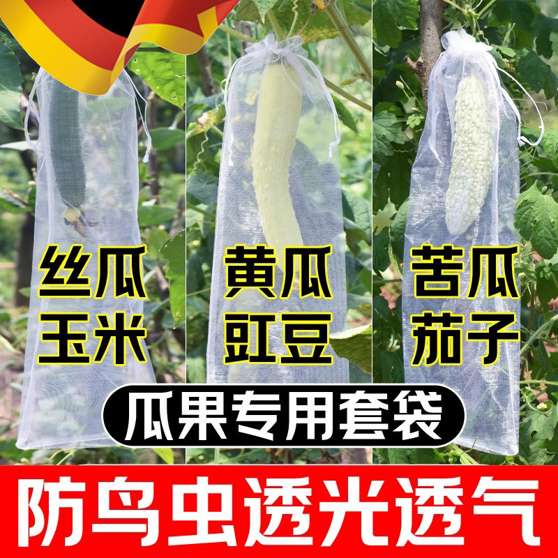 丝瓜黄瓜苦瓜套袋纱袋防虫专用网袋水果葡萄番茄枇杷瓜果保护袋子