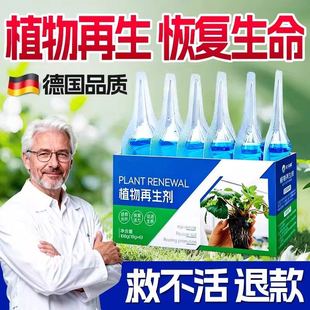植物营养液绿植专用再生剂肥料室内花卉盆栽水培发财树通用型花肥