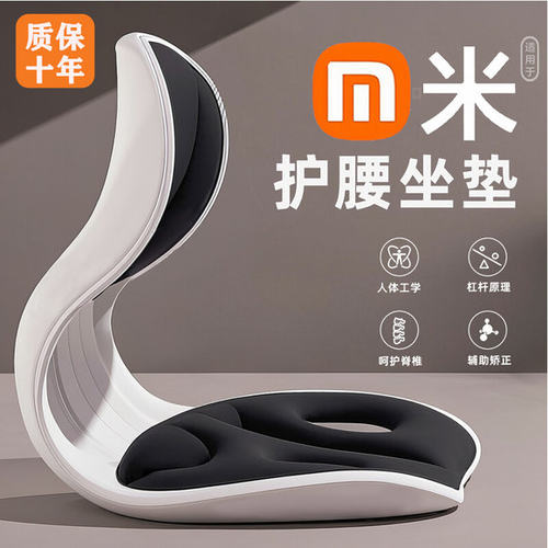 护腰坐垫人体工学坐姿椅座椅脊椎腰托靠垫一体办公室久坐不累神器